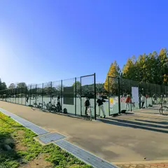 庄内緑地 スケートパーク