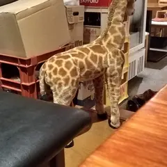 ぎょうぶ