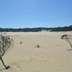 モートン・アイランド・デザート