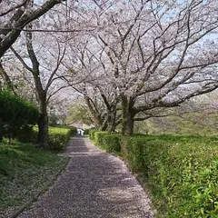 上岩崎公園