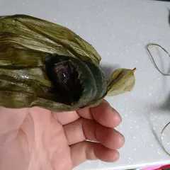 越後獅子さかたや