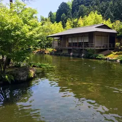 玉露の里 椿園