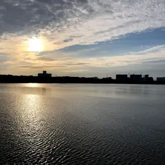 谷津干潟