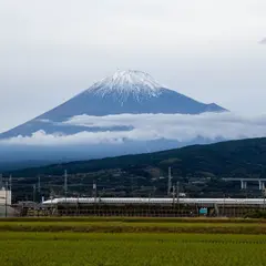 浮島沼釣り場公園