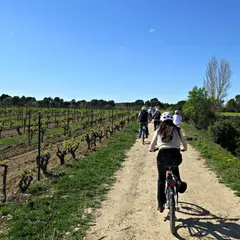 Bikemotions: Bike Tours & Bike Rentals