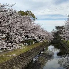 多布施川河畔公園