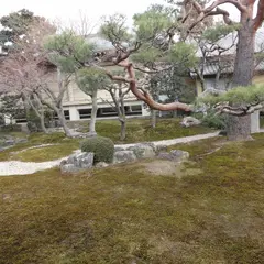 妙顕寺 光琳曲水の庭