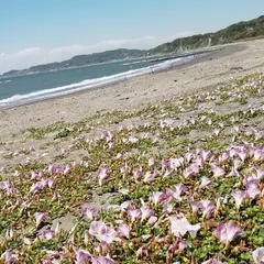 上総湊港海浜公園