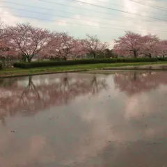 北五井緑道公園