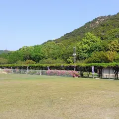 渋川公園