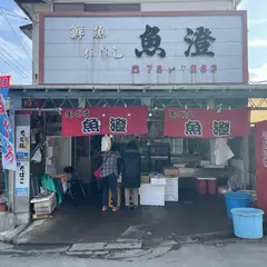 魚澄