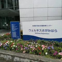 ウェルネスさがみはら