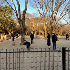 代々木公園ドッグラン