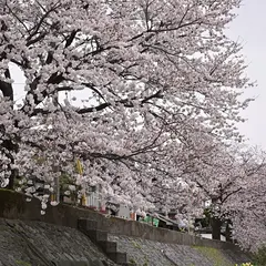 犀川緑地公園