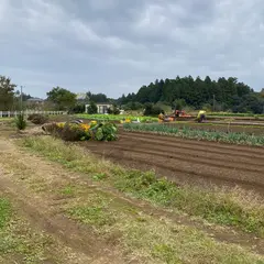 畑楽園 (道の駅くりもと)