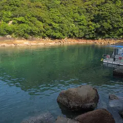 竜串グラスボート(Tatsukushi Glassboat) たつくし海中観光（株