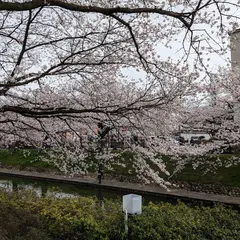 松川公園