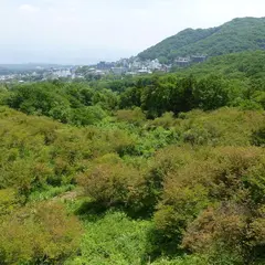 長峰公園