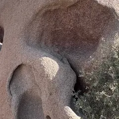スカル・ロック