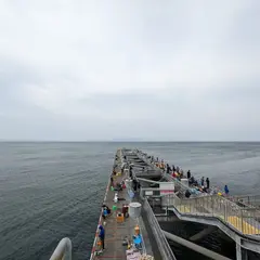 海釣り公園とっとパーク小島