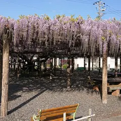 東光寺の長藤
