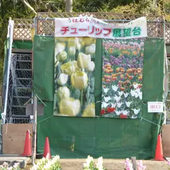 根がらみ前水田