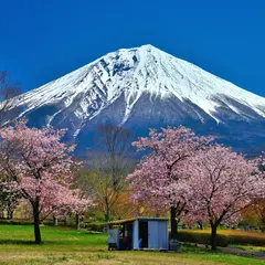富士宮市 朝霧霊園