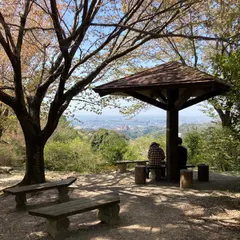 岡崎中央総合公園 健康の森