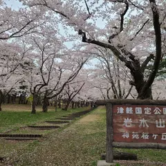岩木山桜林公園
