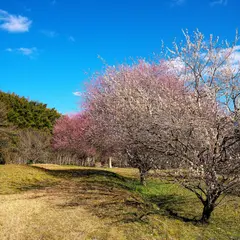 長野緑地