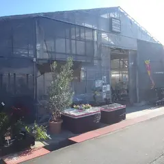 園芸センター小澤農園 浜松インター店