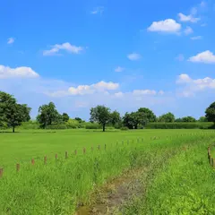 渡良瀬遊水地グラウンド