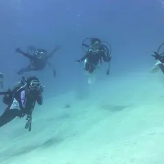 奄美大島 ダイビングサービス・ブルーゲイト