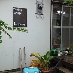 奄美大島ダイビングショップ ルプラ