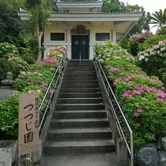 藤の寺（浄土宗）