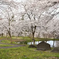 大井田の郷公園