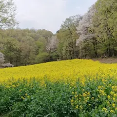 鹿田山フットパス