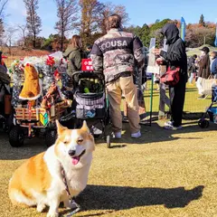 58ロハスマルシェ