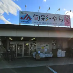 ＪＡ常総ひかり 農産物八千代直売所