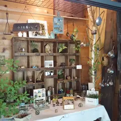 リンデン