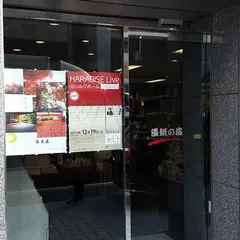 倭紙の店