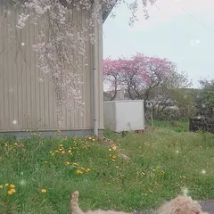 上部神社