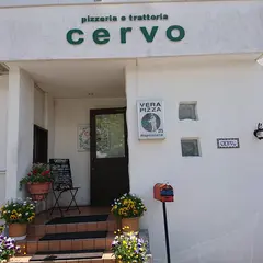 pizzeria e trattoria CERVO