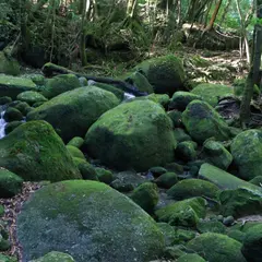 楠川歩道