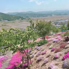 臨雲亭の跡