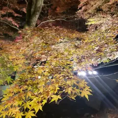 かのうや駐車場