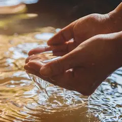 陶泉 御所坊