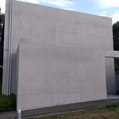 白桜記