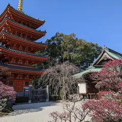 東長寺 五重塔