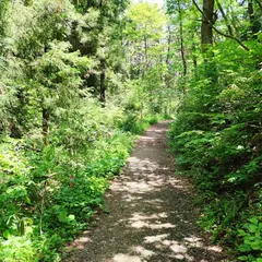 十八鳴浜遊歩道